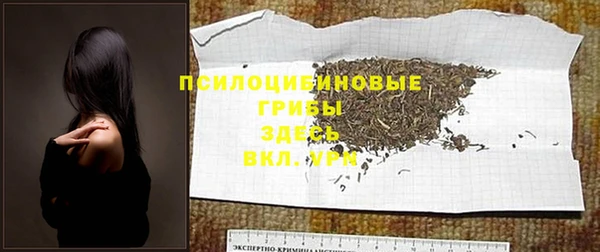 МДПВ Костерёво