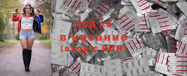 прущие крисы Кодинск