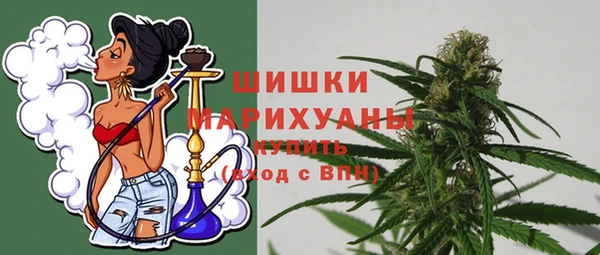 МДПВ Костерёво