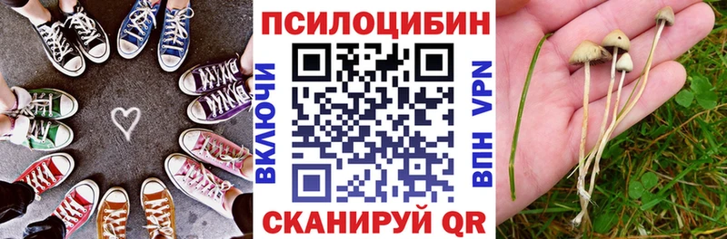 закладки  hydra сайт  Галлюциногенные грибы Psilocybine cubensis  это официальный сайт  Лениногорск 