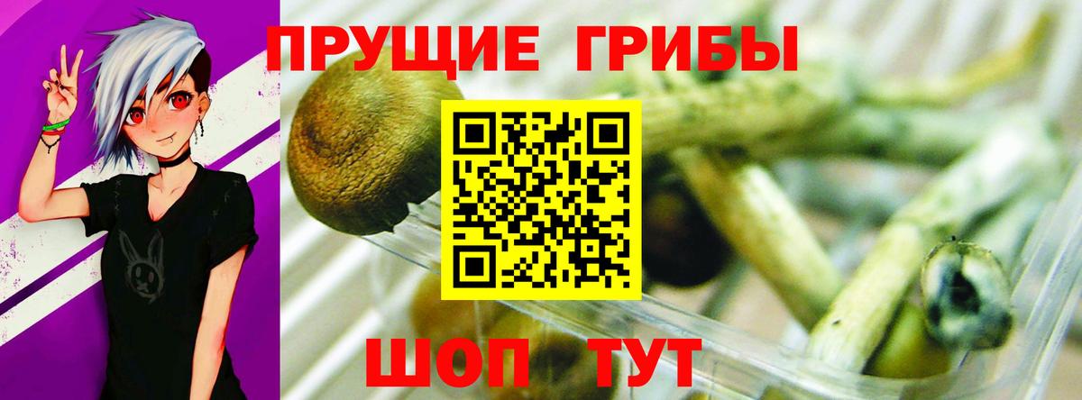 Лениногорск  Псилоцибиновые грибы Magic Shrooms  Вход с VPN 